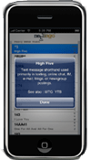 NetLingo app for your iPhone