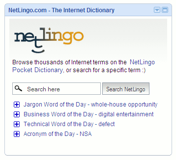 NetLingo Google Gadget