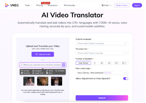 VMEG AI Video Translator